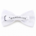 WANDALLIA MCH-M-18