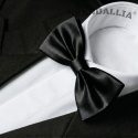 WANDALLIA SP-MN-13