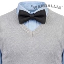 WANDALLIA MCH-D-2