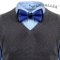 WANDALLIA MCH-D-12