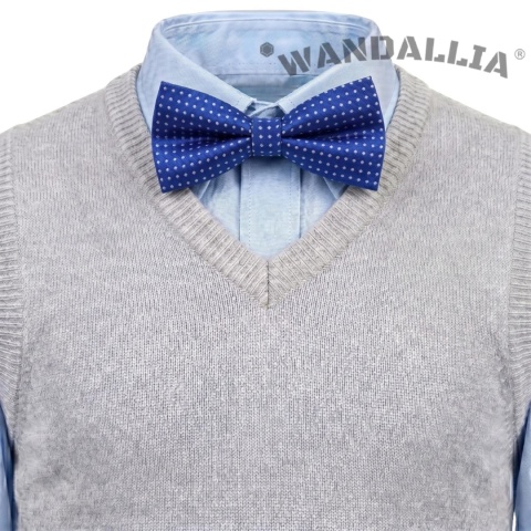 WANDALLIA MCH-D-6