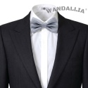 WANDALLIA MCH-M-29