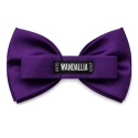 WANDALLIA MCH-M-26