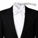 WANDALLIA MCH-M-19