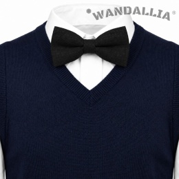 WANDALLIA MCH-D-2