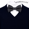 WANDALLIA MCH-D-9