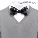 WANDALLIA MCH-D-9