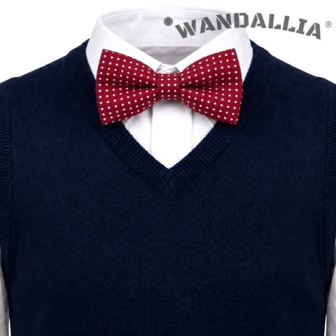 WANDALLIA MCH-D-4