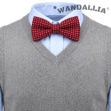 WANDALLIA MCH-D-4