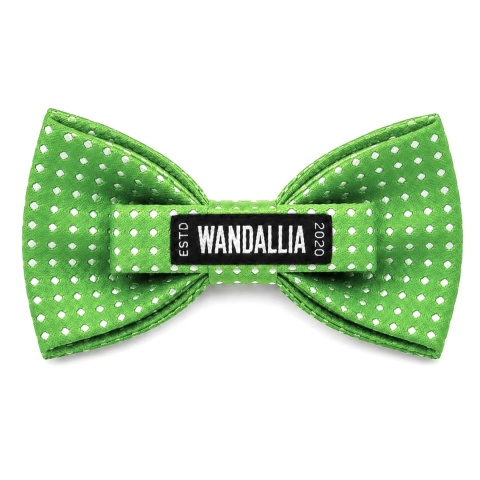 WANDALLIA MCH-D-16