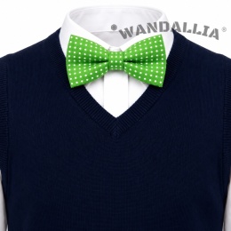 WANDALLIA MCH-D-16