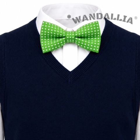 WANDALLIA MCH-D-16