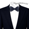WANDALLIA MCH-M-22