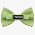 WANDALLIA MCH-M-36