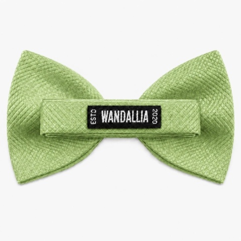 WANDALLIA MCH-M-36