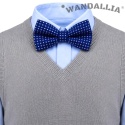 WANDALLIA MCH-D-6