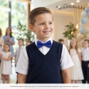 WANDALLIA MCH-D-6