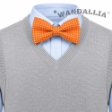 WANDALLIA MCH-D-14