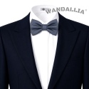 WANDALLIA MCH-M-21