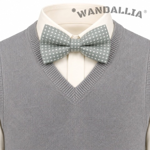 WANDALLIA MCH-D-8