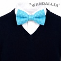 WANDALLIA MCH-D-7