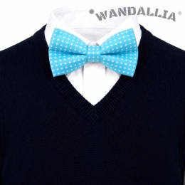 WANDALLIA MCH-D-7