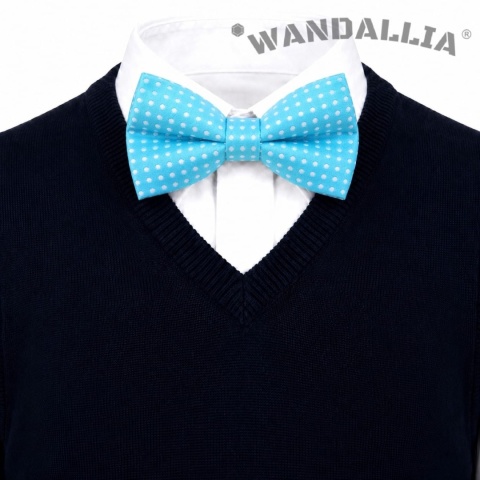 WANDALLIA MCH-D-7
