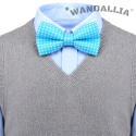 WANDALLIA MCH-D-7
